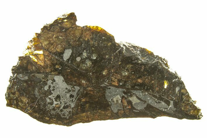 Polished Admire Pallasite Meteorite ( g) Slice - Kansas #261228